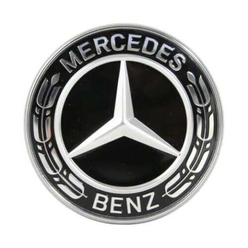 Front hood mercedes - front,